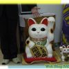 静岡県浜松市　㈲あっとほーむの招き猫（当事務所）